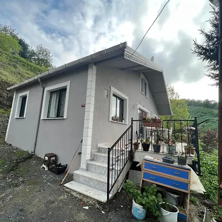 Ayliya Koey Evi ترابزون