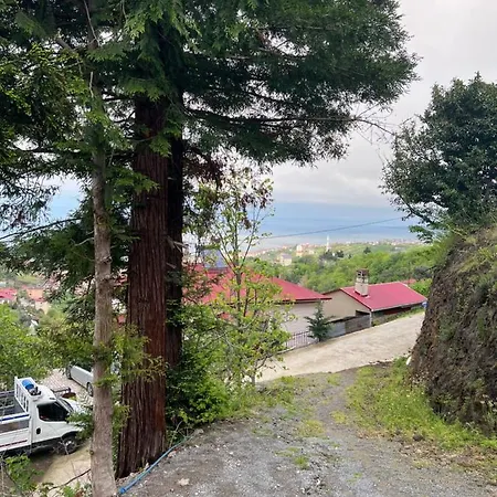 Hotel Ayliya Koey Evi Trabzon