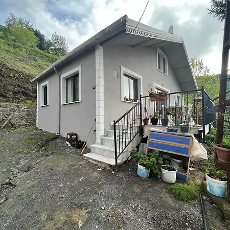 Ayliya Koey Evi