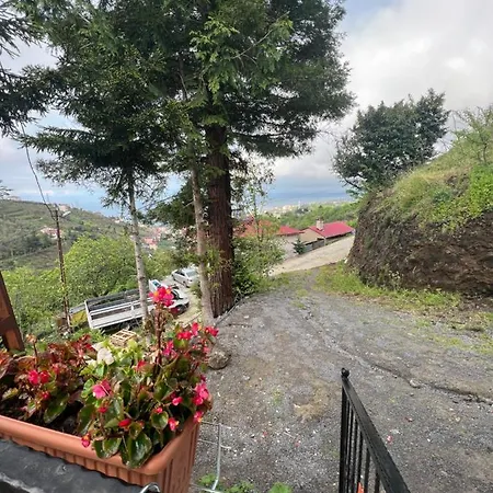 Ayliya Koey Evi
